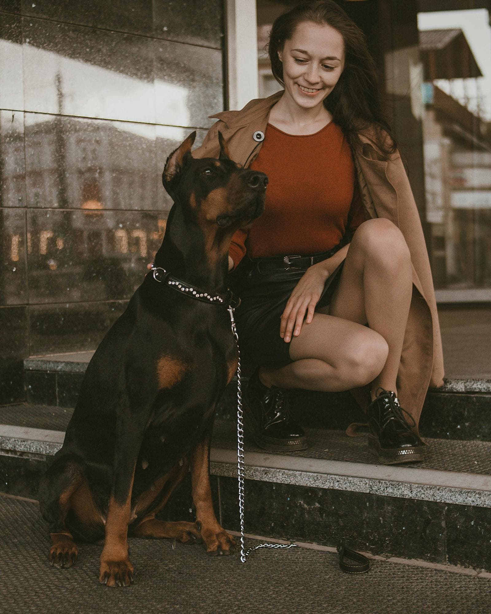 Sit & stay